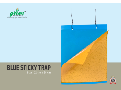 Blue Sticky Trap