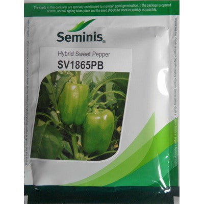 Capsicum SV1865PB