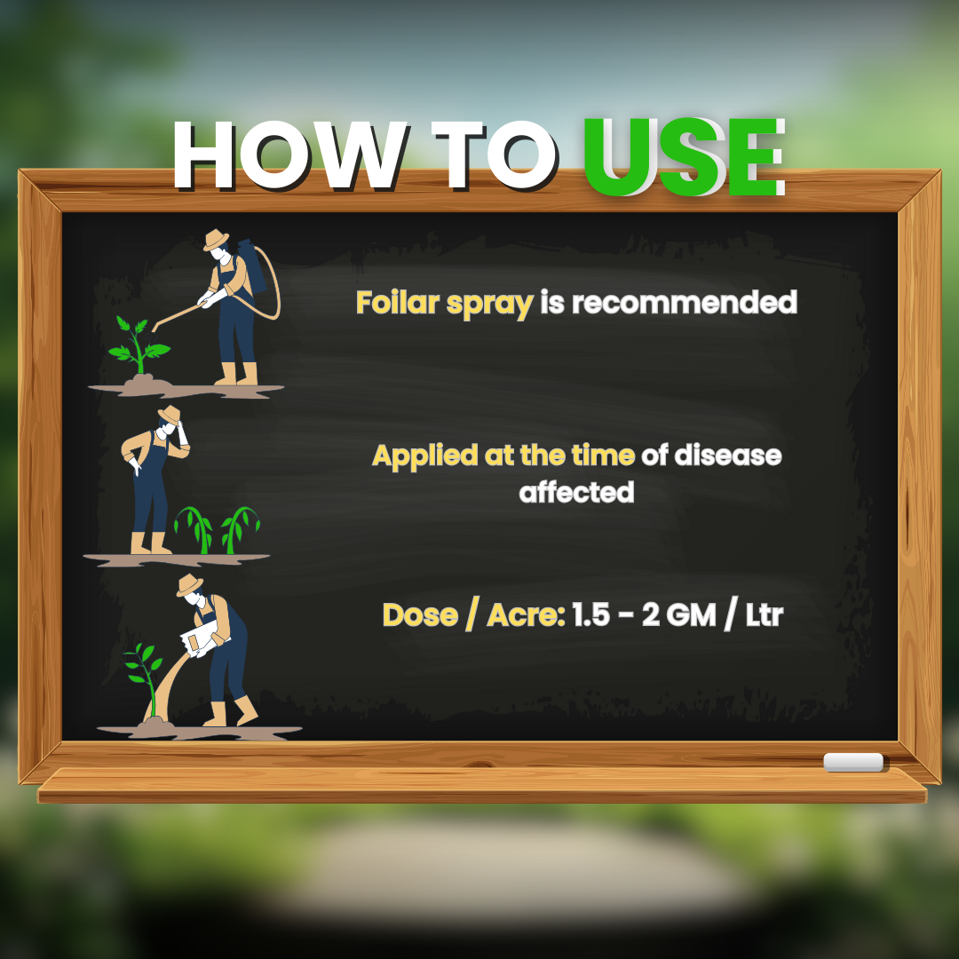 Katyayani All in One - Organic Fungicide