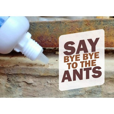 Amish A Eco-Friendly Ant Bait (Pack of 2 bottles) - Turning Point