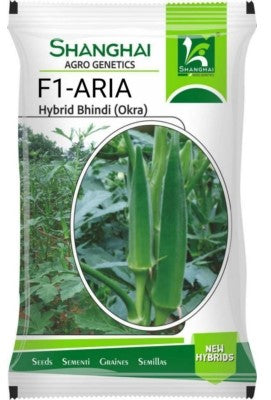 Okra / Lady Finger F1 Aria