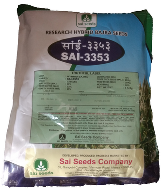 PearlMillet / Bajra Sai-3353