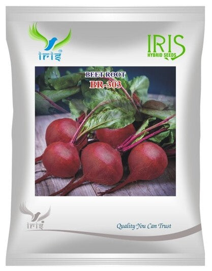 Beetroot Imported OP Iris BR-303 - 50 grams