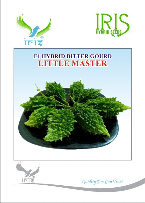 BitterGourd / Karela F1 Iris Little Master