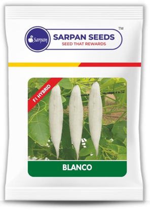 Snakegourd Sarpan Blanco