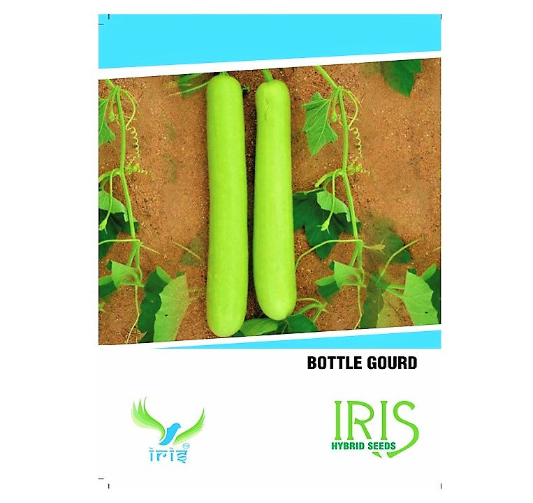 Iris F1 BottleGourd / Lauki 15 Seeds