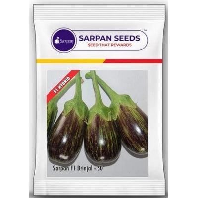 Brinjal Sarpan 50