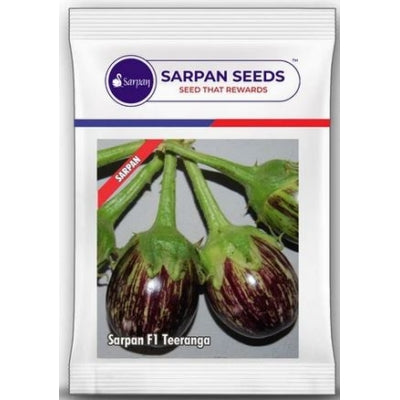 Brinjal Sarpan Teeranga