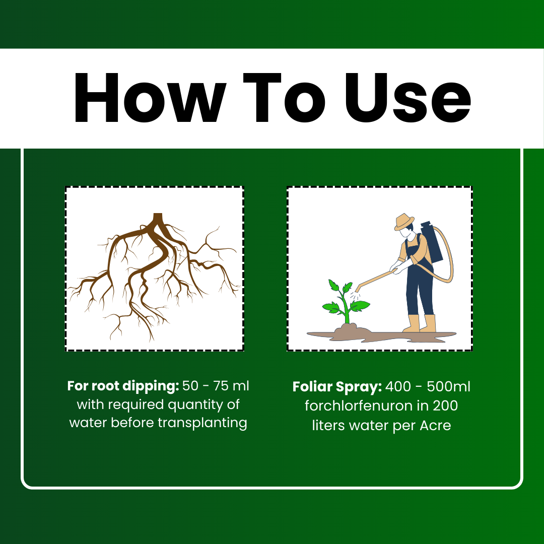 Katyayani CPPU - Forchlorfenuron 0.1%