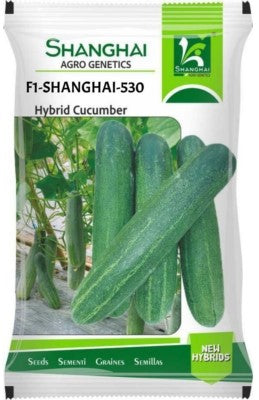 Cucumber F1 Shanghai-530