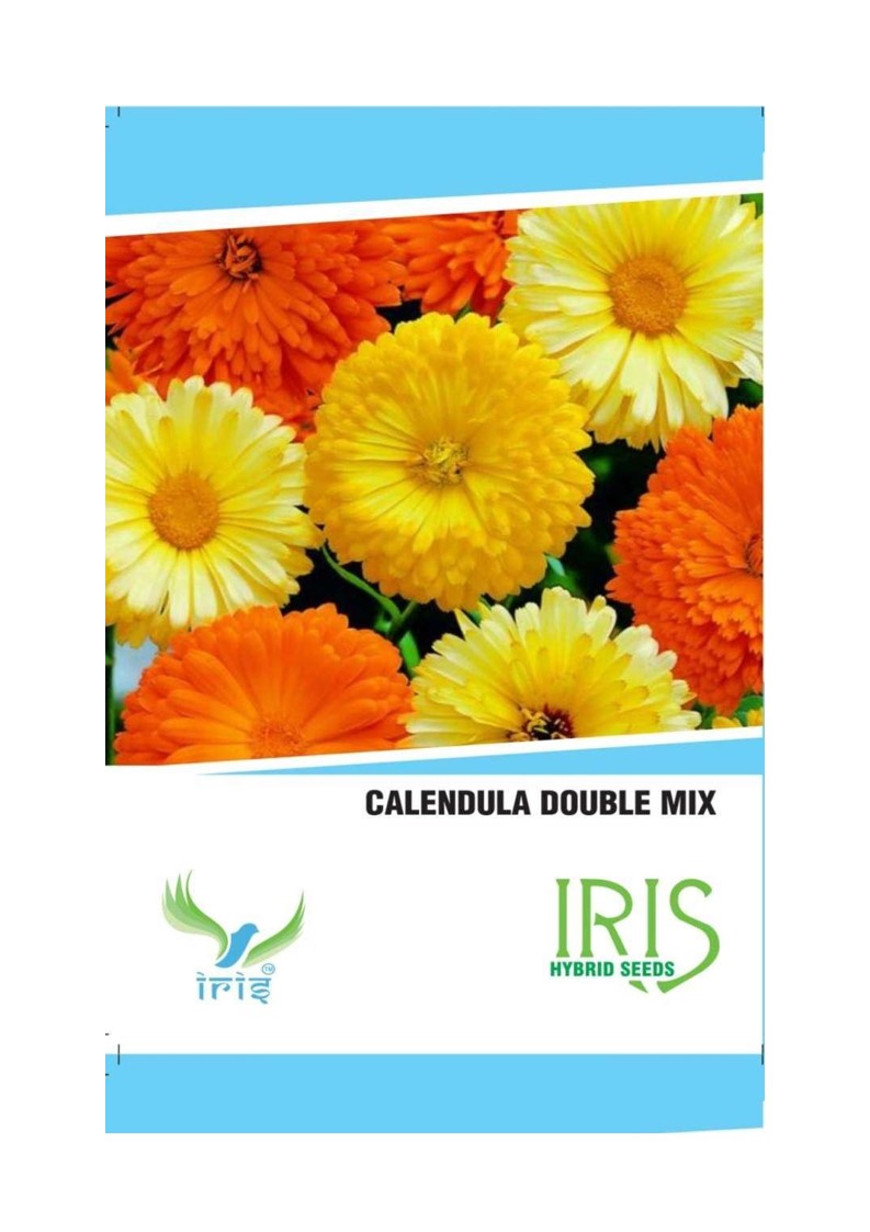 Iris Imported Calendula Double Mix