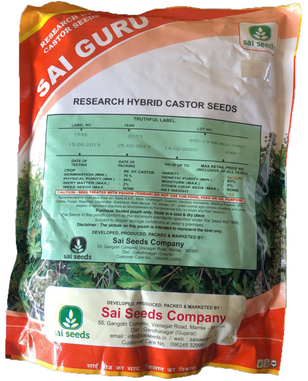 Castor / Aerandi Sai Guru