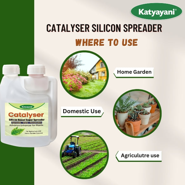 Katyayani Catalyser - Silicon Super Spreader