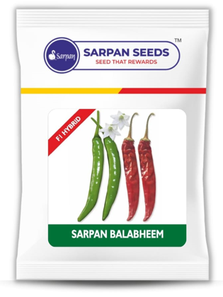 Chilli / Hot Pepper F1 Sarpan Balbheem