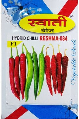 Chilli Reshma-084
