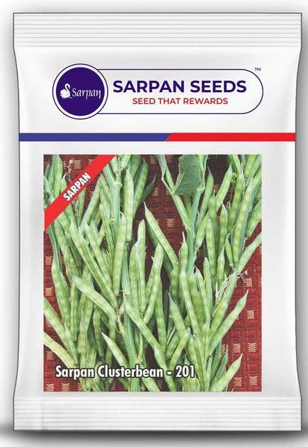 Clusterbean / Guar Sarpan 201