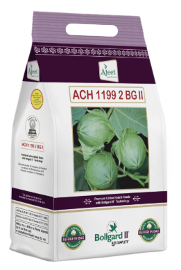 Cotton Ajeet 1199