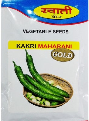 Cucumber Maharani Gold