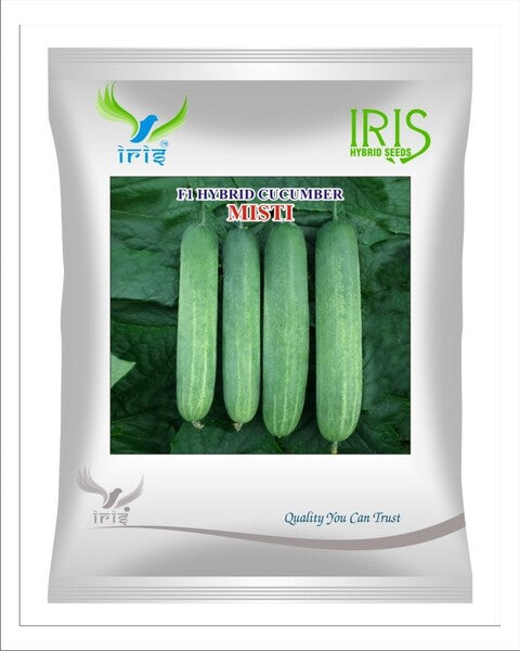 Cucumber / Kakri F1 Iris Misti