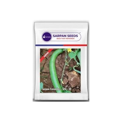Cucumber Sarpan SCU-30