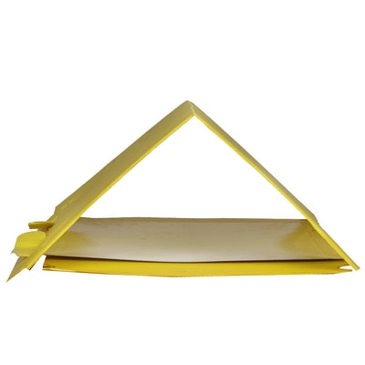 Delta Trap