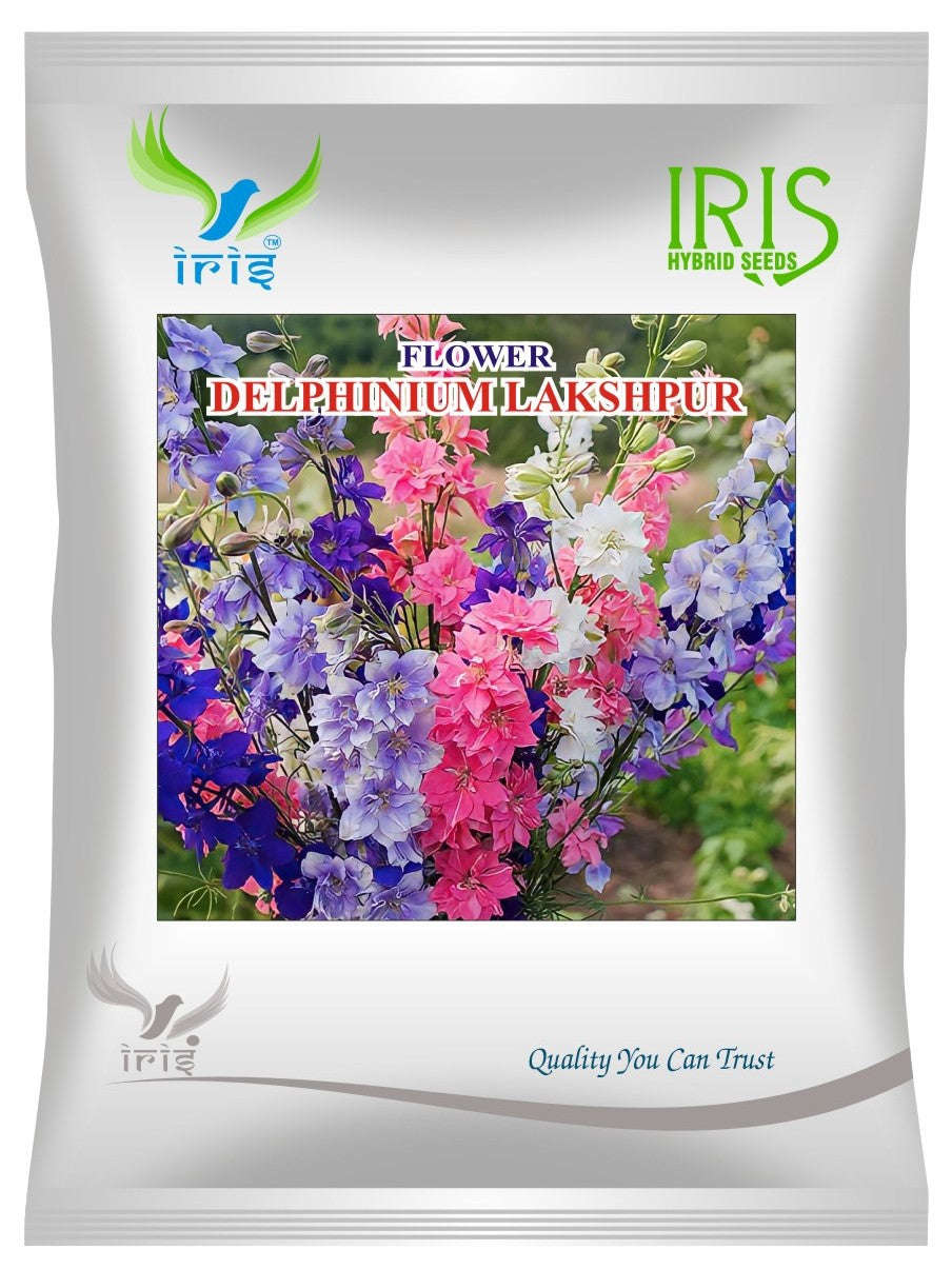 Iris Imported OP Delphinium Lakshpur 300+ Seeds