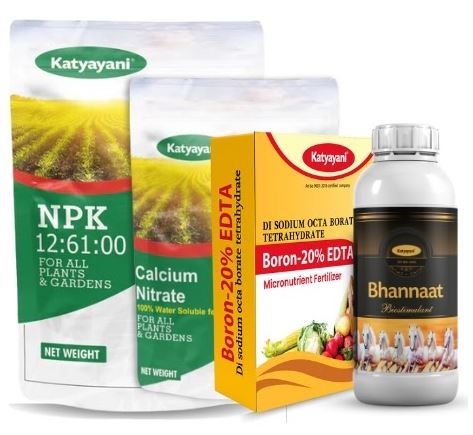 Katyayani Flowering & Fruiting Pro Combo