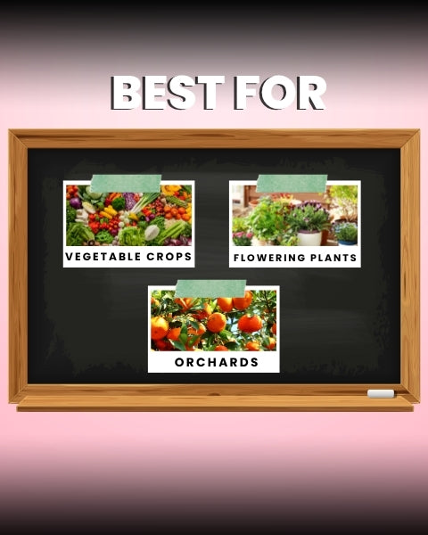 Katyayani Flowering Booster Fertilizer + Mix Micro 10 grams | Organic Fertilizers