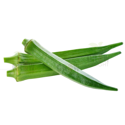 Okra / Lady Finger F1 GD-777