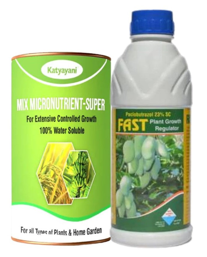 Katyayani Garlic Bulb Special Growth Combo