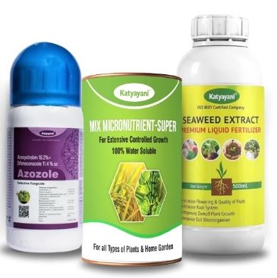 Katyayani Gram Protection + Growth Combo