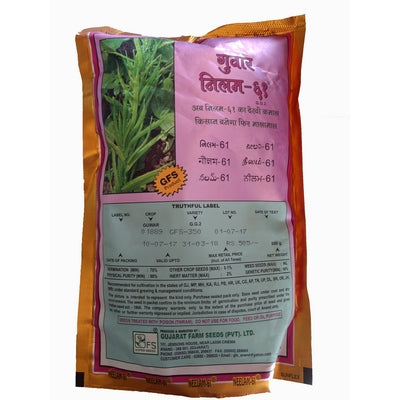 Clusterbean / Guar Neelam-61