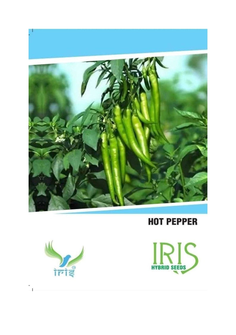 Iris F1 Chilli / Hot Pepper