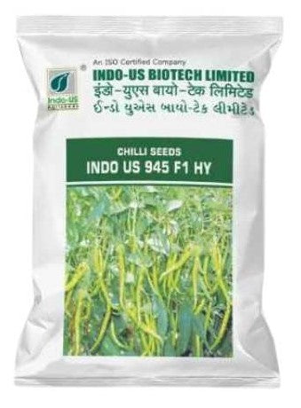 Chilli / Hot Pepper F1 Indo US 945