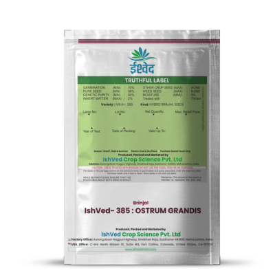 Brinjal IVBJH-385 10 grams