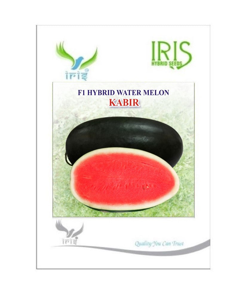 Watermelon F1 Iris Kabir (Icebox Segment)