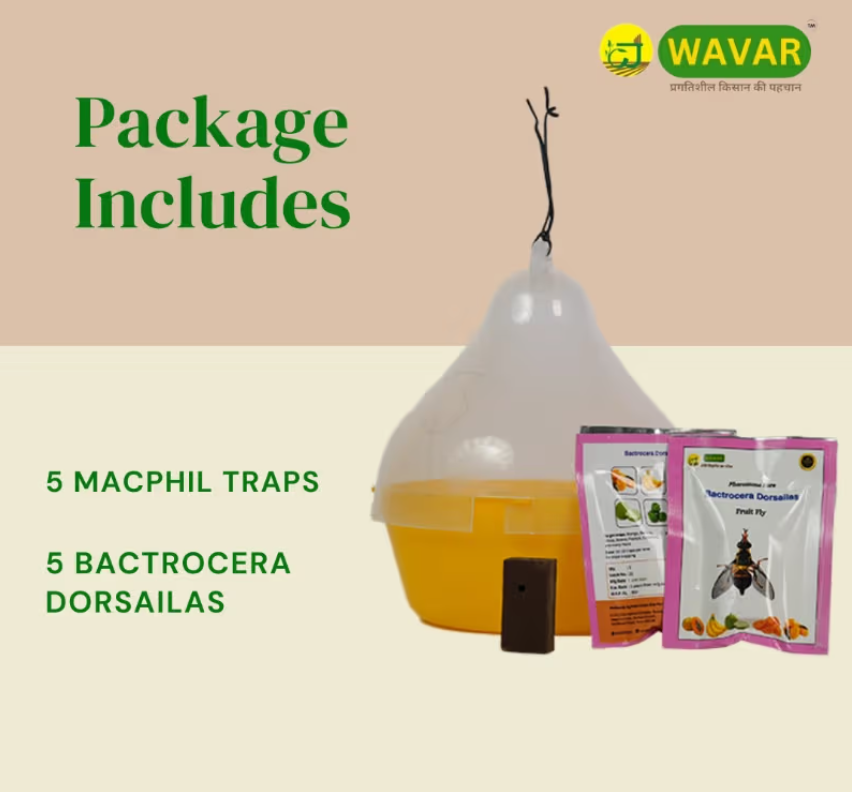 Wavar Macphil Trap with Bactrocera Dorsalis Lure