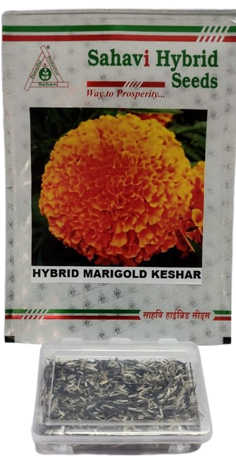 Marigold Orange F1 Keshar