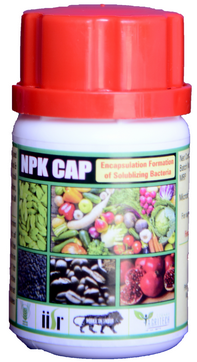 NPK Cap