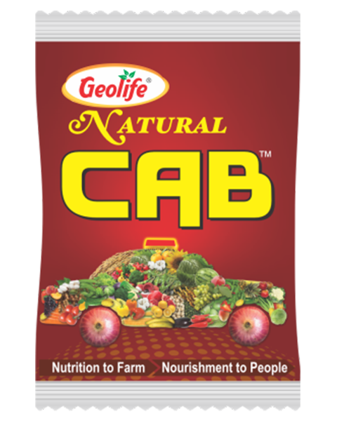 Geolife Natural Cab Anti Cracking and Anti Rotting