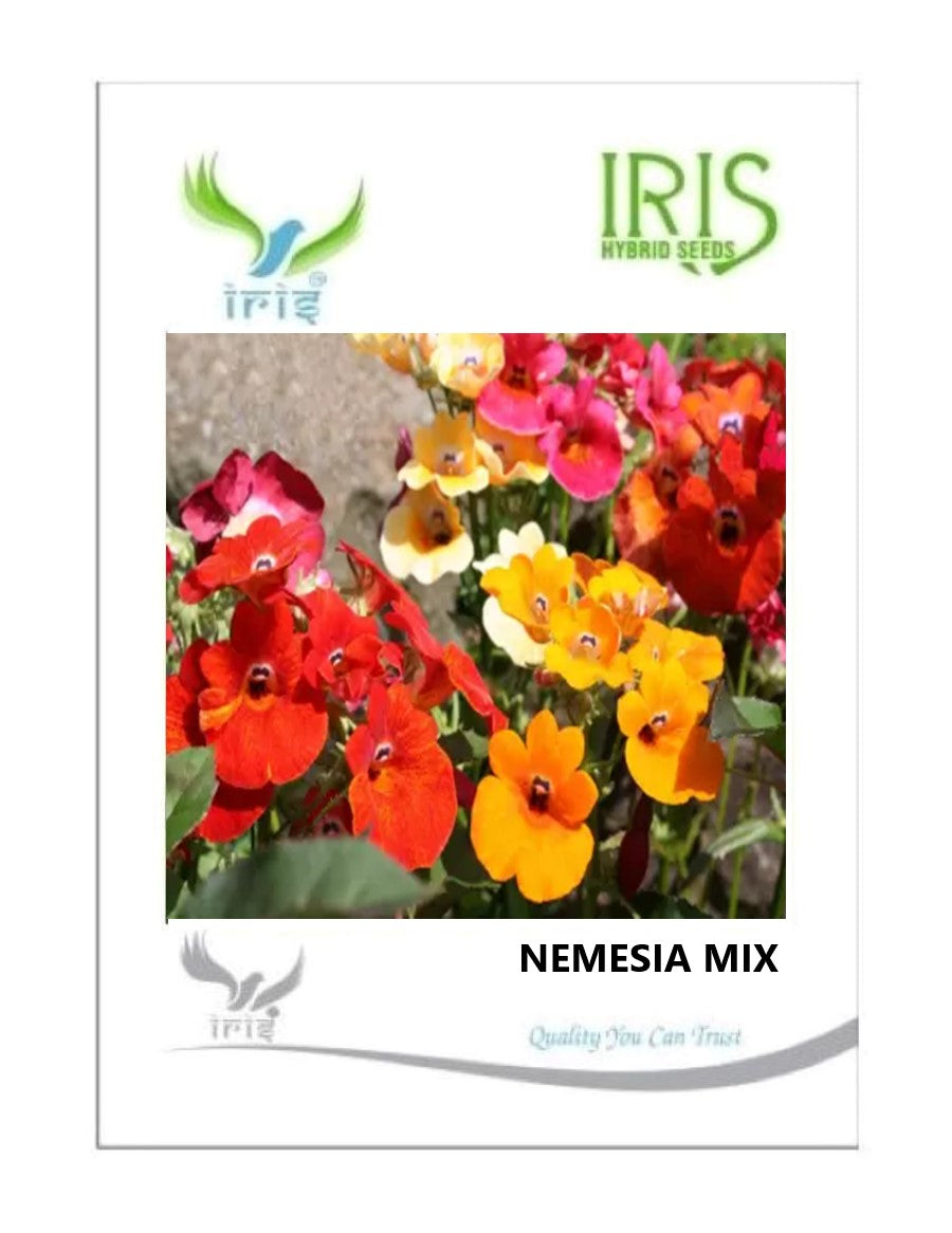 Iris Imported Namesia Mix 150 Seeds