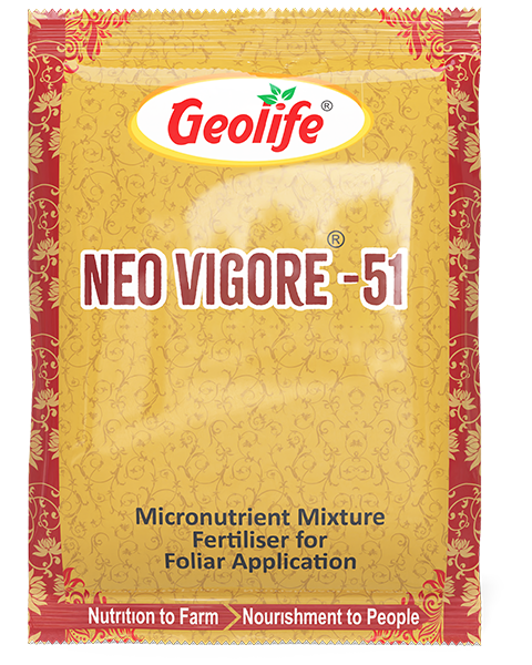 Geolife Nano Vigore (Flower Booster)