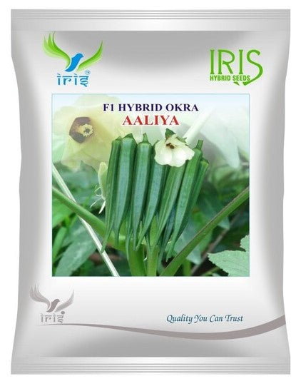 Okra / Lady Finger F1 Iris Aaliya