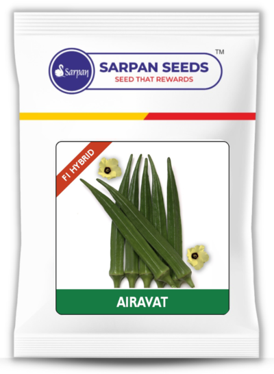 Okra / Lady Finger F1 Airavat