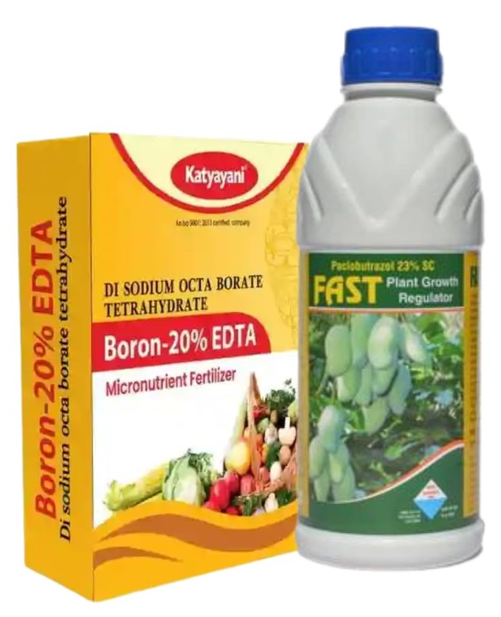 Katyayani Onion Bulb Growth Booster Combo