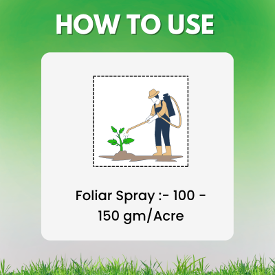 Katyayani Tebuconazole 50% + Trifloxystrobin 25% WG