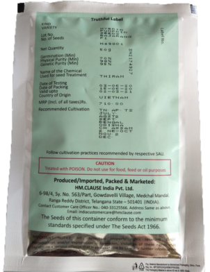 Pumpkin / Kaddoo Bajarang