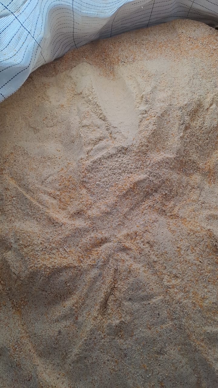 Paragon Robust Meal Ration (RMR) Makai Bhardo