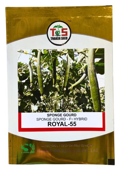 SpongeGourd / Galki Royal-55