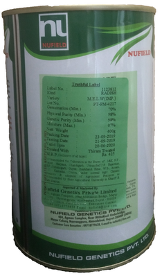 Radish Mino Early Long White